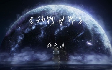 动物世界吉他谱