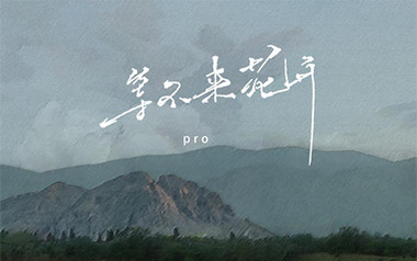 等不来花开吉他谱