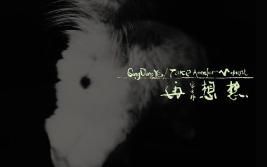 谢谢你吉他谱