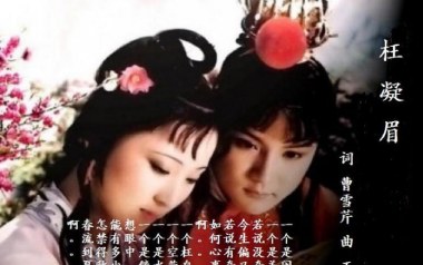 枉凝眉吉他谱
