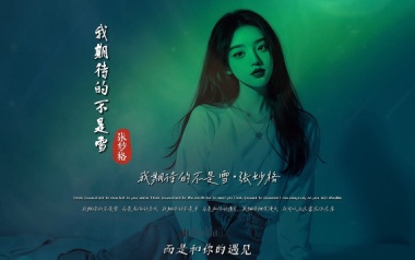 我期待的不是雪吉他谱