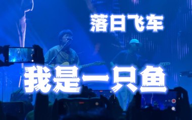 我是一只鱼吉他谱