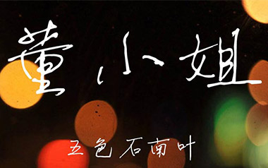 董小姐吉他谱