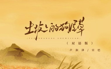 土坡上的狗尾草吉他谱