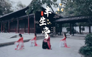 半生雪指弹吉他谱