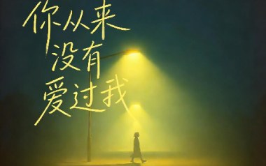 你从来没有爱过我吉他谱