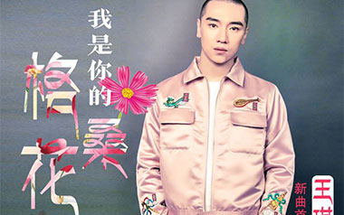 我是你的格桑花吉他谱