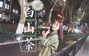 白山茶吉他谱