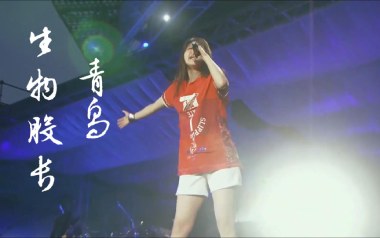 青鸟指弹吉他谱