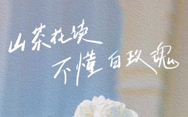 山茶花读不懂白玫瑰吉他谱