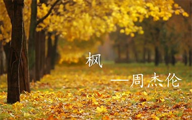 枫吉他谱