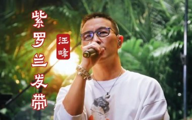 紫罗兰发带吉他谱
