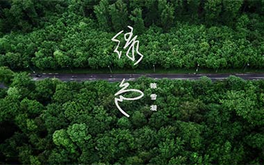 绿色吉他谱