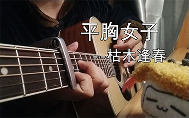 平胸女子吉他谱
