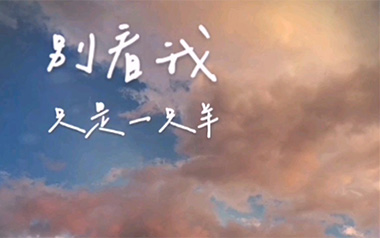 别看我是一只羊吉他谱