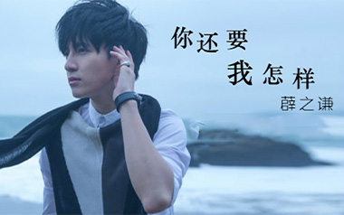 你还要我怎样吉他谱