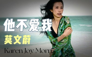他不爱我吉他谱
