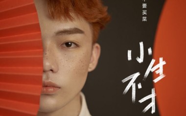 小生不才吉他谱