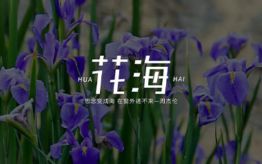 花海吉他谱