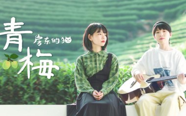 青梅吉他谱