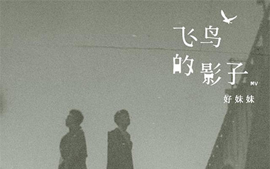 飞鸟的影子吉他谱