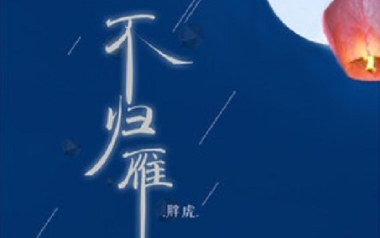 不归雁吉他谱