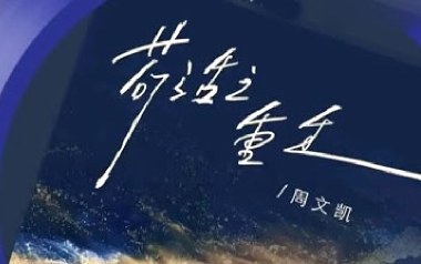 苟活之重生吉他谱