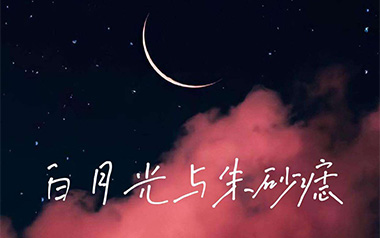 白月光与朱砂痣吉他谱
