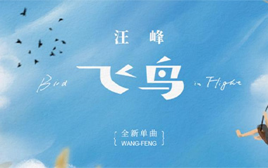 飞鸟吉他谱