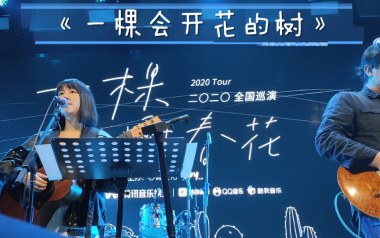 一棵会开花的树吉他谱