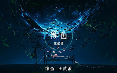 像鱼吉他谱