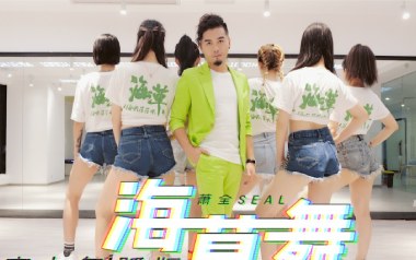 海草舞吉他谱