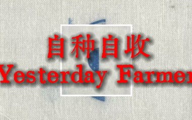 自种自收吉他谱