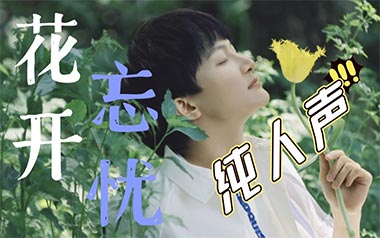 花开忘忧吉他谱