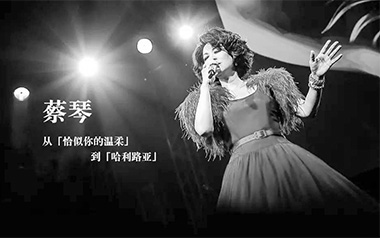 恰似你的温柔吉他谱