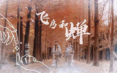 飞鸟和蝉吉他谱
