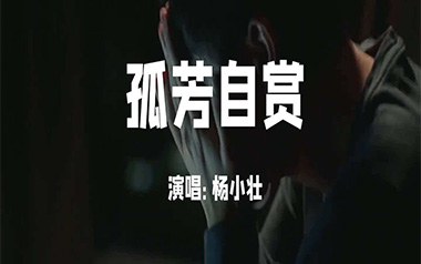 孤芳自赏吉他谱
