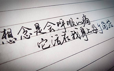 会呼吸的痛吉他谱