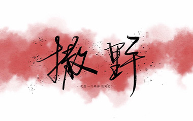 撒野吉他谱