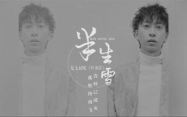 半生雪吉他谱