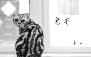 老齐吉他谱