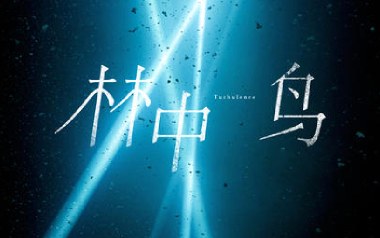 林中鸟吉他谱