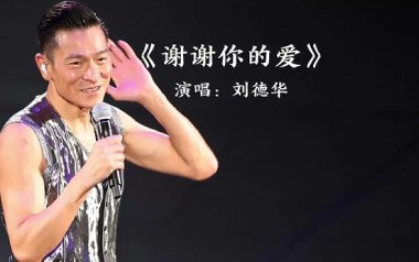 谢谢你的爱吉他谱