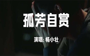 孤芳自赏吉他谱