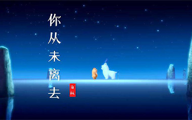 你从未离去吉他谱
