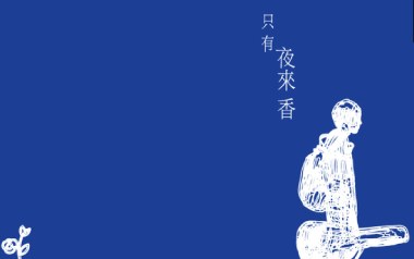 只有夜来香吉他谱