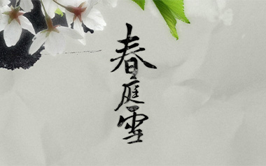 春庭雪吉他谱