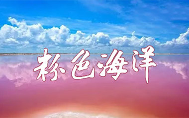 粉色海洋吉他谱