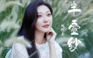 半壶纱指弹吉他谱