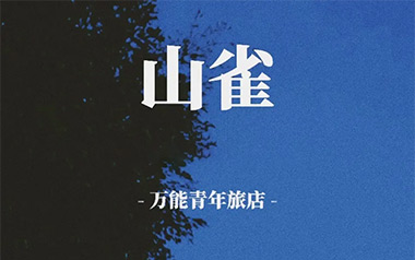 山雀吉他谱